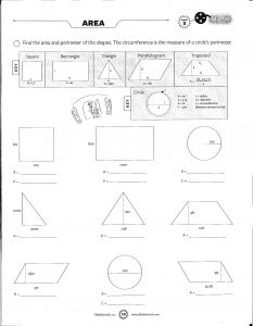 8th Grade Math Facts and Printable Worksheets - 2018